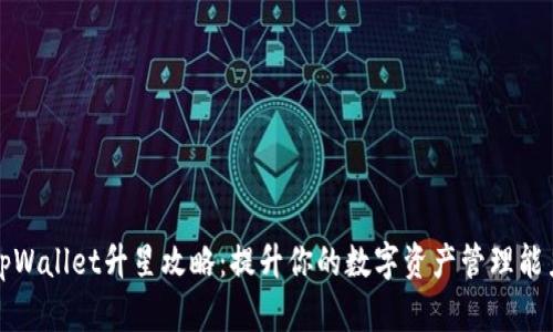 tpWallet升星攻略：提升你的数字资产管理能力