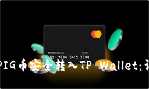 如何将PIG币安全转入TP Wallet：详细指南