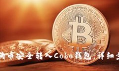如何将狗狗币安全转入C