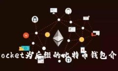 最全指南：以Pocket为后缀