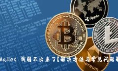 tpWallet 钱转不出来了？解