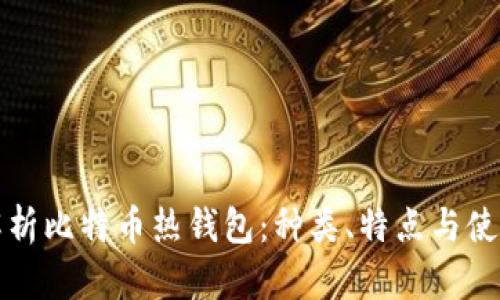 全面解析比特币热钱包：种类、特点与使用指南