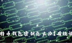 忘记比特币钱包密钥怎么