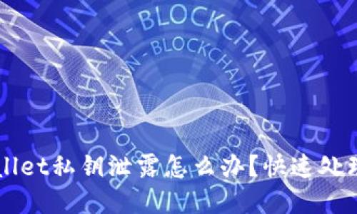 ### tpWallet私钥泄露怎么办？快速处理与预防指南