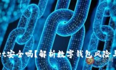 tpWallet安全吗？解析数字钱