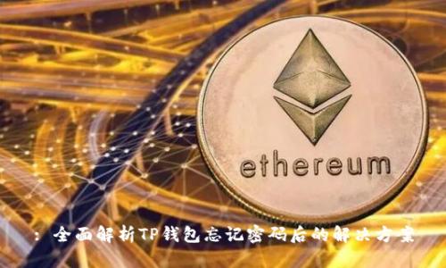 : 全面解析TP钱包忘记密码后的解决方案