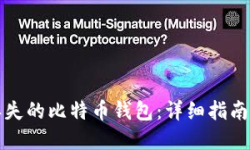如何找回丢失的比特币钱包：详细指南与实用技巧
