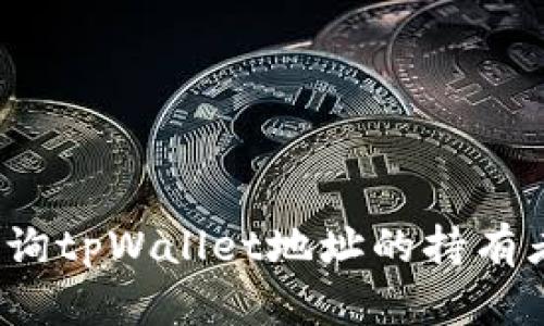 如何查询tpWallet地址的持有者信息？