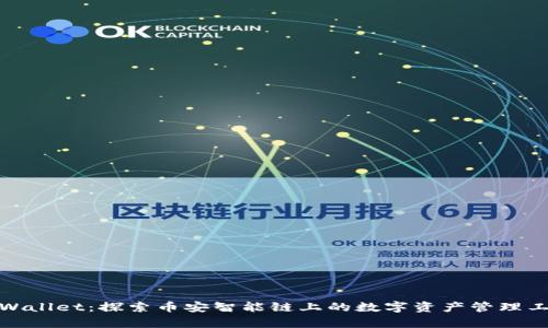 tpWallet：探索币安智能链上的数字资产管理工具