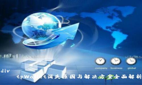 div    
    tpWallet消失原因与解决方案全面解析