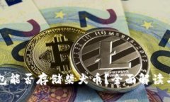以太坊钱包能否存储柴犬币？全面解读与实用指
