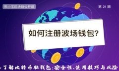 深入了解比特币脑钱包：安全性、使用技巧与风