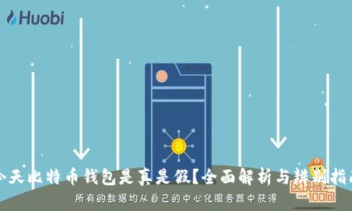 今天比特币钱包是真是假？全面解析与辨别指南