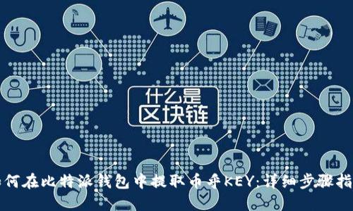 如何在比特派钱包中提取币乎KEY：详细步骤指南