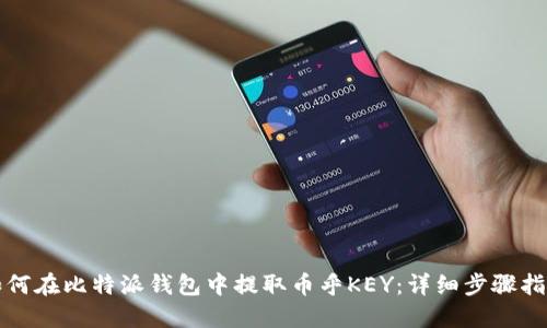 如何在比特派钱包中提取币乎KEY：详细步骤指南